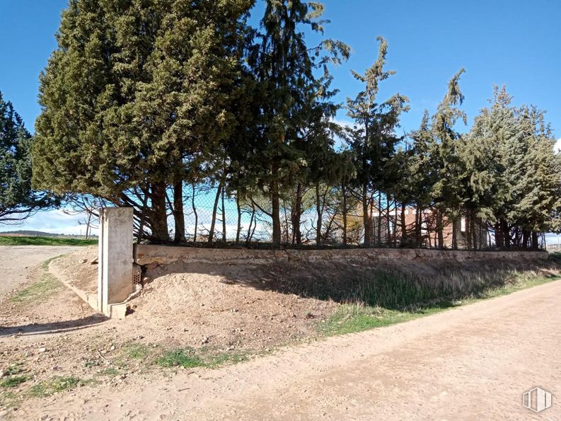 Land for sale at Calle Valdenuño, Galápagos, Guadalajara, 19174 with plant, sky, tree, road surface, land lot, shade, natural landscape, real estate, landscape and grass around