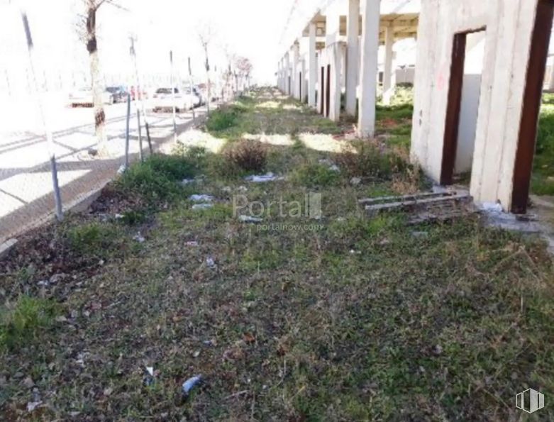 Land for sale at Calle Vega del Tajo, Guadalajara, 19209 with plant, land lot, grass, building, tree, groundcover, landscape, road surface, shrub and soil around