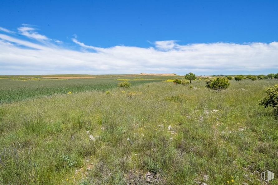 Suelo en venta en Las Zumaqueras, La Lastrilla, Segovia, 40196 con nube, cielo, planta, paisaje natural, planta herbácea, hierba, paisaje, cúmulo, pastizal y horizonte alrededor