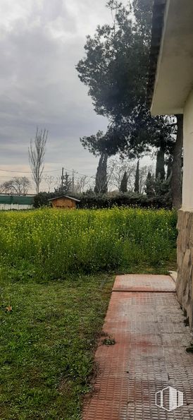 Suelo en venta en Carretera Algete, San Sebastián de los Reyes, Madrid, 28709 con cielo, planta, nube, naturaleza, árbol, paisaje natural, vegetación, luz solar, lote de terreno y hierba alrededor