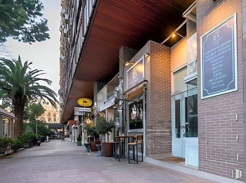 Retail for sale at Calle General Pardiñas, Salamanca, Madrid, 28006 with plant, building, tree, sky, road surface, flowerpot, urban design, house, real estate and facade around