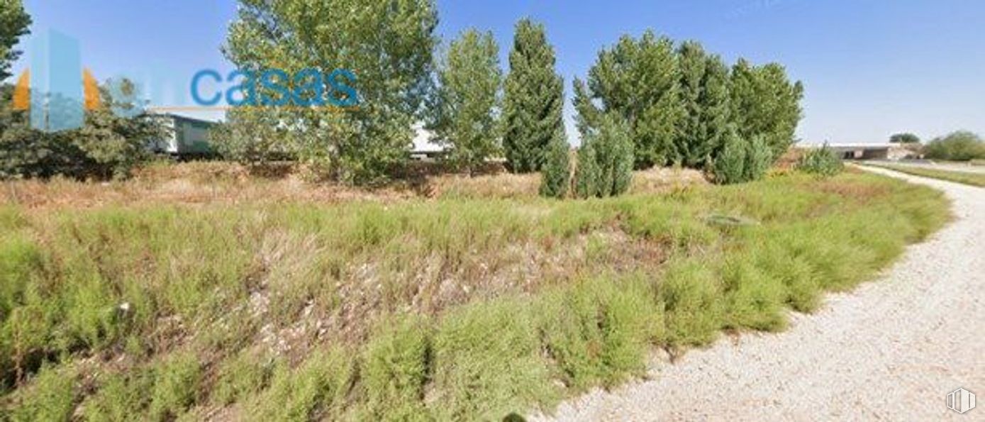 Suelo en venta en Avenida Larona, Cabanillas del Campo, Guadalajara, 19171 con planta, cielo, comunidad vegetal, ecorregión, entorno natural, árbol, paisaje natural, lote de terreno, vegetación y hierba alrededor