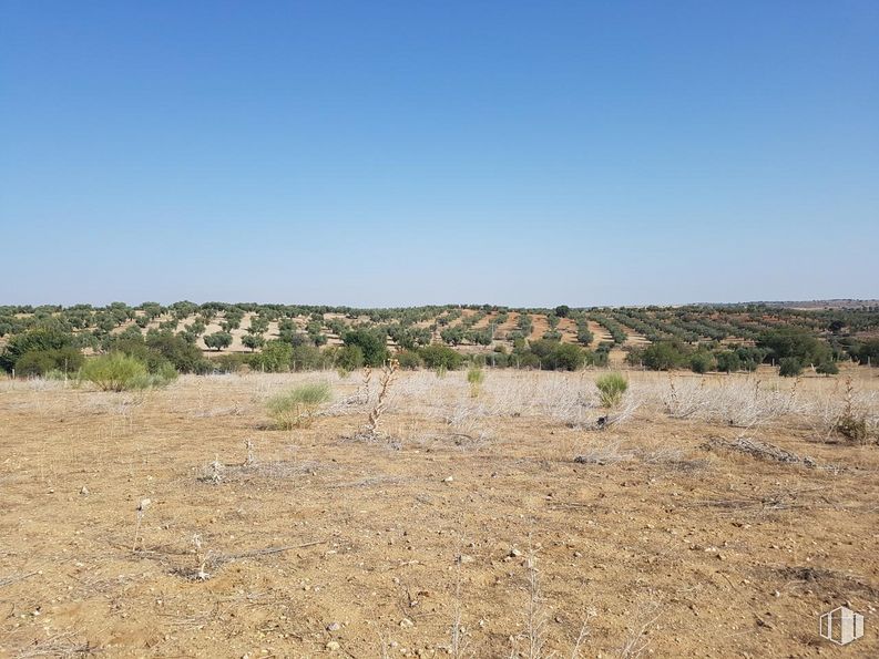 Land for sale at Calle Jorge Manrique, Guadamur, Toledo, 45160 with sky, plant, bedrock, vegetation, natural landscape, tree, formation, landscape, grass and aeolian landform around