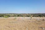 Land for sale at Calle Jorge Manrique, Guadamur, Toledo, 45160 with sky, plant, bedrock, vegetation, natural landscape, tree, formation, landscape, grass and aeolian landform around