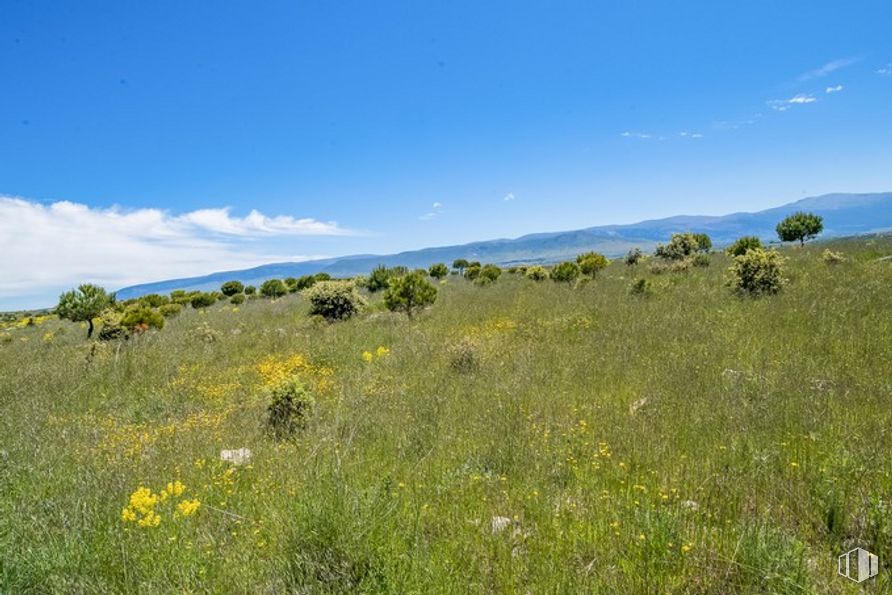 Suelo en venta en Las Zumaqueras, La Lastrilla, Segovia, 40196 con nube, cielo, planta, comunidad de plantas, flor, montaña, paisaje natural, hierba, árbol y pastizal alrededor