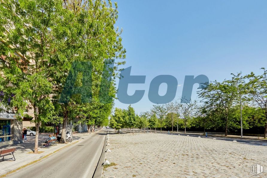 Local en venta en Paseo Yeserías, Arganzuela, Madrid, 28005 con día, cielo, árbol, superficie de carretera, paisaje natural, asfalto, diseño urbano, carretera, vía pública y planta leñosa alrededor