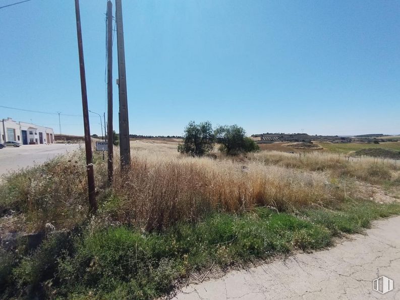 Land for sale at Calle Silo, San Lorenzo de la Parrilla, Cuenca, 16770 with plant, sky, plant community, land lot, natural landscape, tree, landscape, plain, grassland and road around