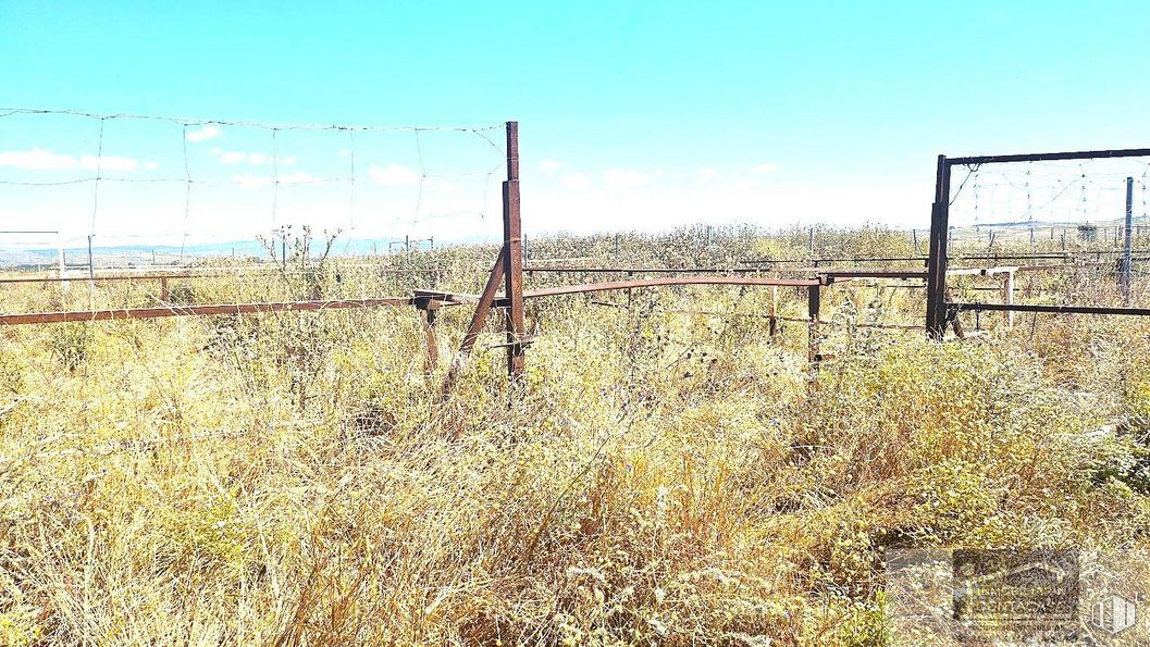 Land for sale at Camino Torrelaguna, Talamanca de Jarama, Madrid, 28160 with sky, cloud, ecoregion, plant, fence, wire fencing, natural landscape, land lot, overhead power line and grass around