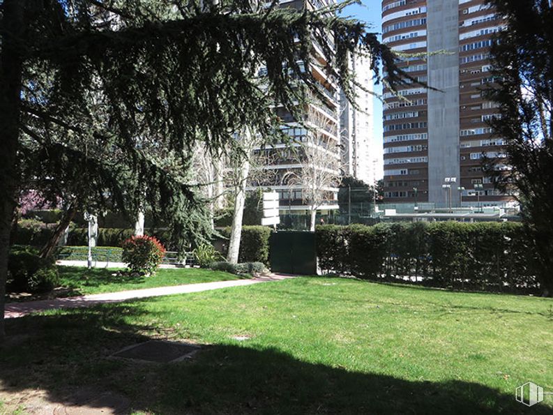 Oficina en alquiler en Calle Condado de Treviño, 9, Ciudad Lineal, Madrid, 28033 con edificio, planta, propiedad, árbol, rascacielos, césped, diseño urbano, espacio publico, planta leñosa y barrio residencial alrededor