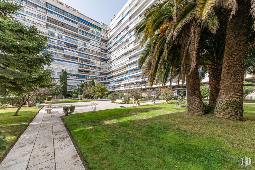 Oficina en venta en Calle Maestro Ángel Llorca, Chamberí, Madrid, 28003 con edificio, planta, día, cielo, botánica, árbol, vegetación, diseño urbano, arecales y barrio alrededor