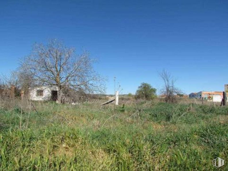 Land for sale at Conjunto Caminos, 5225 Sector Uno, Yunquera de Henares, Guadalajara, 19210 with sky, plant, plant community, cloud, natural landscape, tree, vegetation, window, land lot and grass around