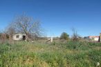 Suelo en venta en Conjunto Caminos, 5225 Sector Uno, Yunquera de Henares, Guadalajara, 19210 con cielo, planta, comunidad de plantas, nube, paisaje natural, árbol, vegetación, ventana, lote de tierra y hierba alrededor