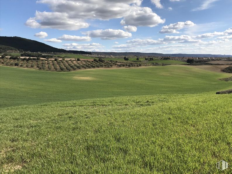 Land for sale at Finca Valdeapa, Chiloeches, Guadalajara, 19160 with cloud, sky, plant, natural landscape, natural environment, land lot, highland, tree, vegetation and grass around