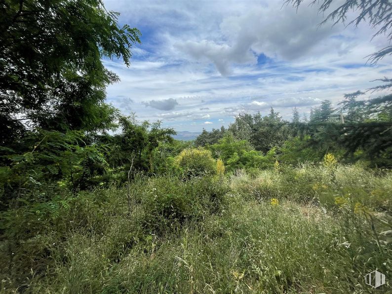 Land for sale at Zona Alameda Cuarta, Guadarrama, Madrid, 28440 with cloud, plant, sky, natural landscape, tree, cumulus, plain, shrub, grassland and landscape around