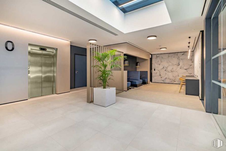 Oficina en alquiler en Calle Valentín Beato, San Blas - Canillejas, Madrid, 28037 con maceta, planta de interior, propiedad, edificio, planta, suelo, accesorio, suelos, condominio y madera alrededor