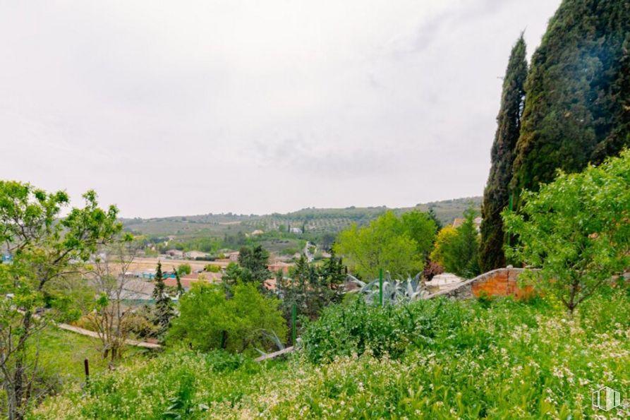 Land for sale at Calle San Roque, Valverde de Alcalá, Madrid, 28812 with sky, plant, cloud, natural landscape, land lot, tree, grass, landscape, shrub and groundcover around