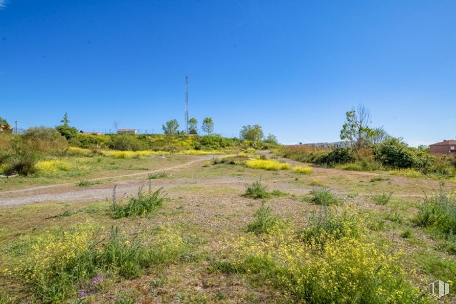 Suelo en venta en Calle Rumanía, Ávila, 05004 con cielo, planta, paisaje natural, lote de tierra, árbol, llanura, paisaje, pastizal, hierba y planta herbácea alrededor