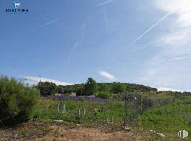 Land for sale at Calle Nava de Roa, 1, Valdeaveruelo, Guadalajara, 19185 with plant, sky, cloud, ecoregion, natural landscape, land lot, grass, grassland, landscape and horizon around