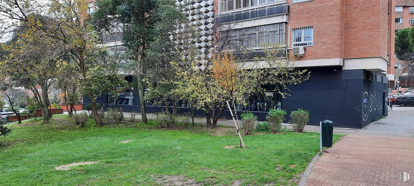 Local en venta en Calle Condado de Treviño, Ciudad Lineal, Madrid, 28033 con planta, edificio, ventana, árbol, lote de terreno, diseño urbano, bioma, hierba, planta leñosa y barrio alrededor