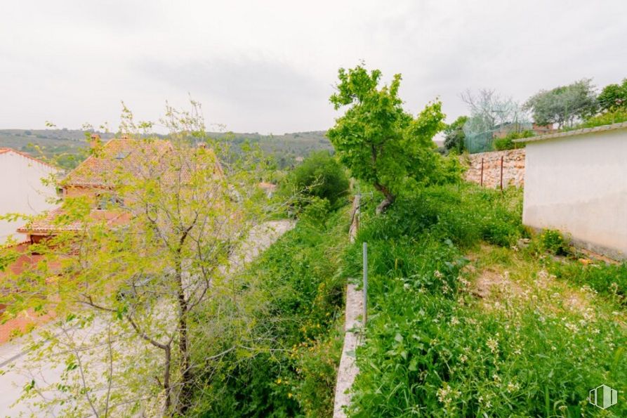 Land for sale at Calle San Roque, Valverde de Alcalá, Madrid, 28812 with sky, plant, plant community, natural landscape, cloud, tree, grass, slope, landscape and shrub around