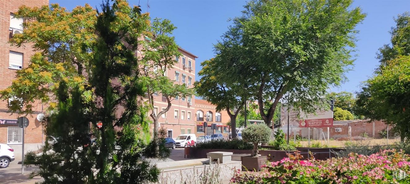 Oficina en alquiler en Calle Reyes Católicos, Móstoles, Madrid, 28938 con coche, planta, edificio, propiedad, ventana, cielo, vegetación, casa, árbol y flor alrededor