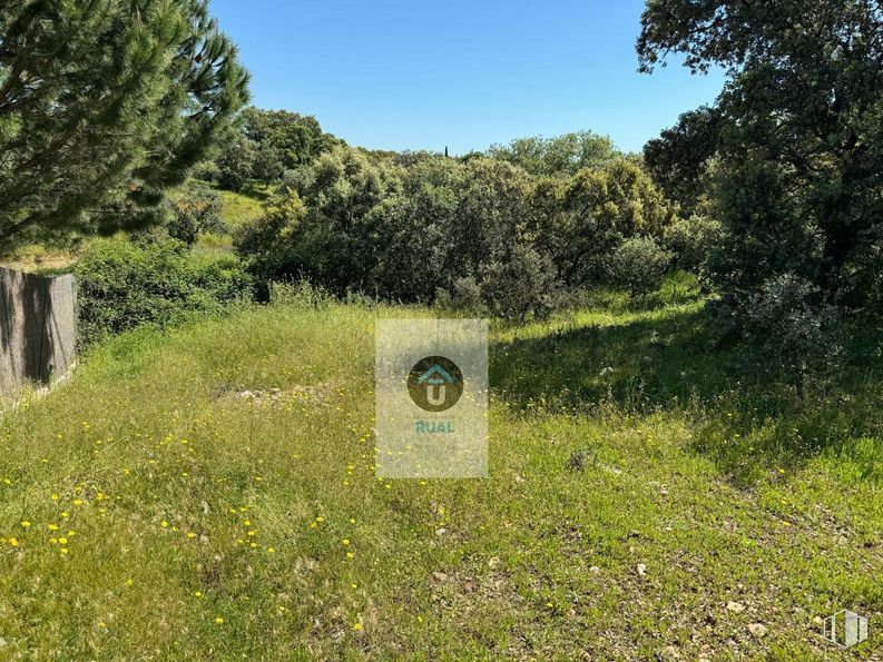 Land for sale at Calle Acacias, San Román de los Montes, Toledo, 45646 with plant, sky, ecoregion, tree, land lot, natural landscape, flower, grass, shrub and grassland around