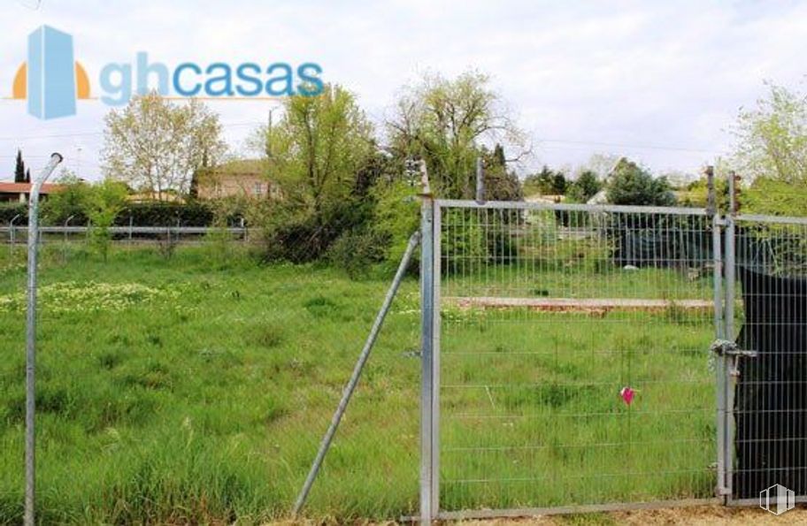 Land for sale at Calle Castillo Gormaz, Torrejón del Rey, Guadalajara, 19174 with plant, sky, cloud, property, tree, land lot, wire fencing, mesh, fence and landscape around