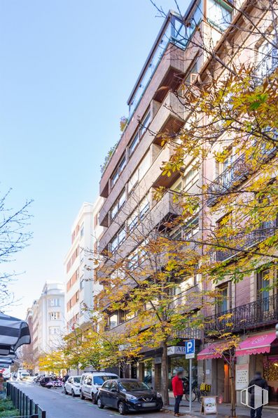 Local en alquiler en Calle Padilla, 6, Salamanca, Madrid, 28006 con coche, edificio, persona, rueda, cielo, neumático, ventana, planta, vehículo y infraestructura alrededor