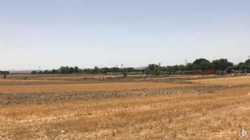 Land for sale at Lugar Pilares, 1, Villaseca de la Sagra, Toledo, 45260 with sky, plant, tree, natural landscape, agriculture, horizon, event, landscape, grassland and hay around