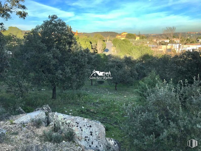 Land for sale at Calle Gerifalte, Las Rozas de Madrid, Madrid, 28230 with cloud, sky, plant, plant community, ecoregion, natural landscape, land lot, grass, landscape and rural area around