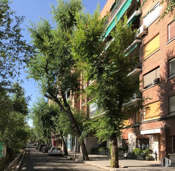 Retail for sale at Calle Manuel Ferrero, 5, Chamartín, Madrid, 28036 with building, sky, plant, window, road surface, tree, urban design, condominium, shade and neighbourhood around