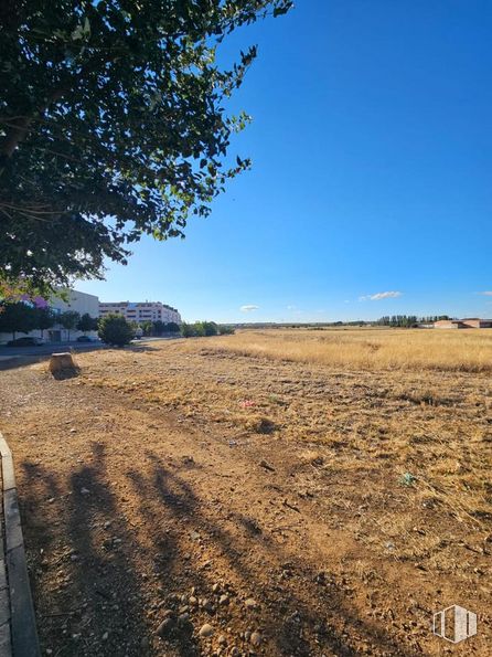 Suelo en venta en Avenida Siglo XXI, Azuqueca de Henares, Guadalajara, 19200 con cielo, paisaje natural, luz solar, madera, árbol, superficie de la carretera, hierba, paisaje, asfalto y llano alrededor