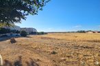 Land for sale at Avenida Siglo XXI, Azuqueca de Henares, Guadalajara, 19200 with sky, natural landscape, sunlight, wood, tree, road surface, grass, landscape, asphalt and plain around