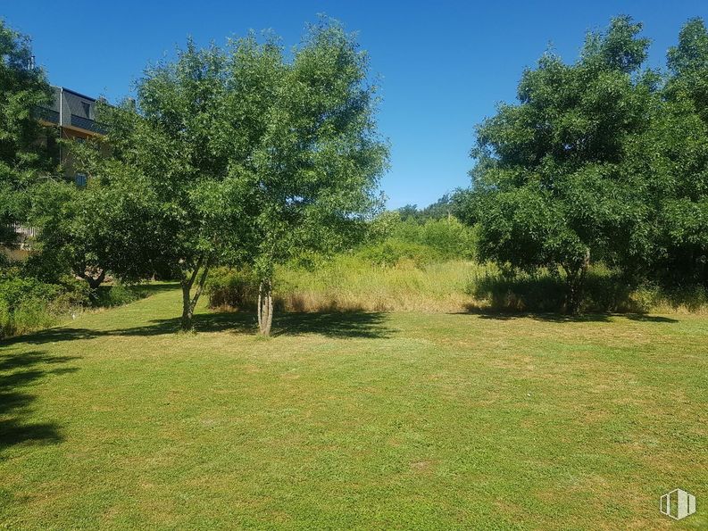 Suelo en venta en La Granja, San Ildefonso, Segovia, 40100 con edificio, planta, cielo, paisaje natural, sombra, árbol, hierba, llanura, arbusto y paisaje alrededor