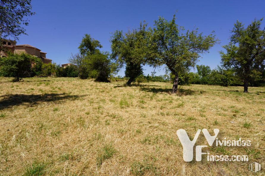 Land for sale at Calle Bajada Escorial, 1, Riaza, Segovia, 40500 with sky, plant, plant community, tree, natural landscape, grass, plain, grassland, landscape and meadow around