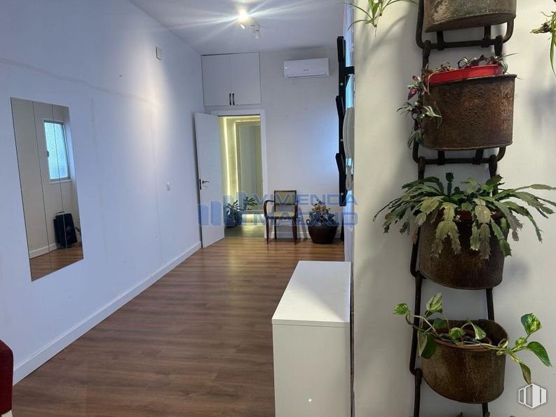 Local en venta en Calle José Garrido, 9, Carabanchel, Madrid, 28019 con planta de interior, mueble, maceta, suelos, suelo, pared, interiorismo, suelos de madera, madera y alumbrado alrededor