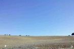 Land for sale at Calle VIII, Quer, Guadalajara, 19209 with sky, plant, natural landscape, plain, grassland, horizon, grass, landscape, tree and prairie around