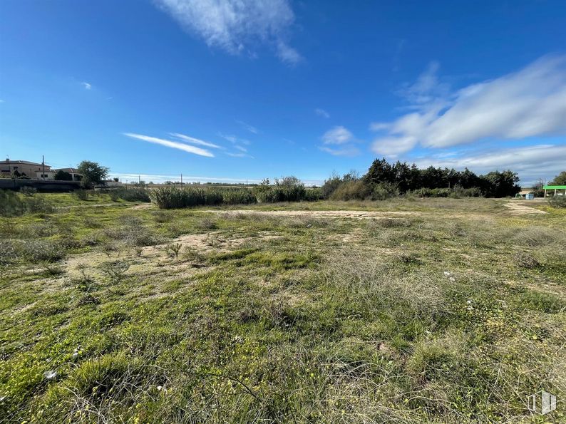 Land for sale at Calle Mártires, El Álamo, Madrid, 28607 with cloud, sky, plant, natural landscape, tree, landscape, cumulus, plain, grass and meadow around