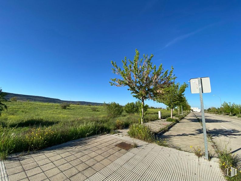 Suelo en venta en Calle Bronce, Chiloeches, Guadalajara, 19160 con cielo, planta, comunidad vegetal, ecorregión, paisaje natural, superficie de la carretera, lote de terreno, asfalto, vegetación y luz solar alrededor