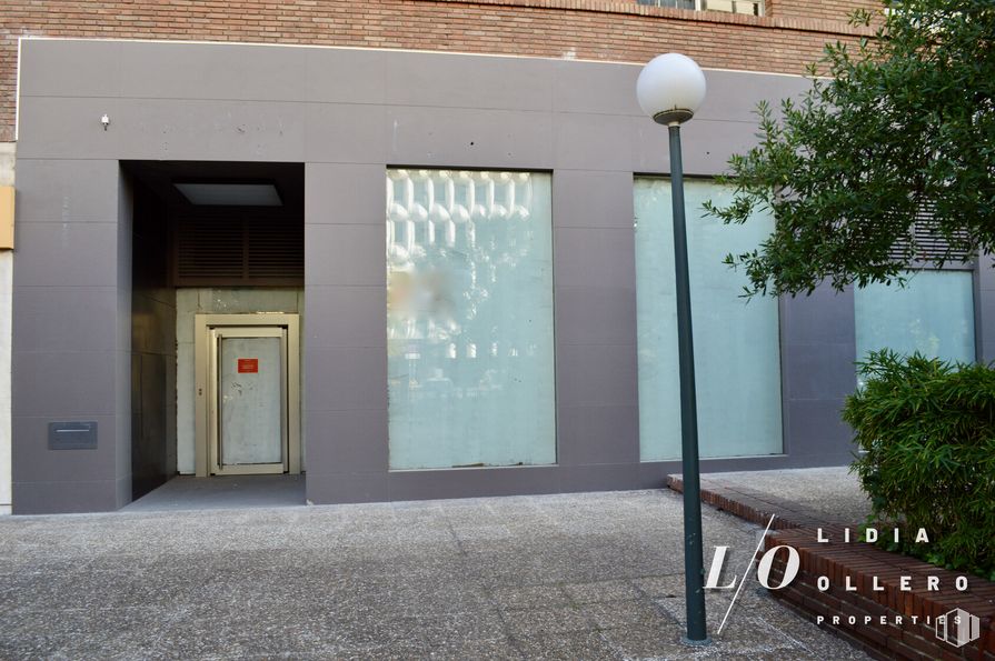 Oficina en alquiler y venta en Calle Francisco Gervás, Tetuán, Madrid, 28020 con mediante, planta, sombra, arquitectura, vidrio, fachada, tintes y matices, arte, luz de la calle y árbol alrededor