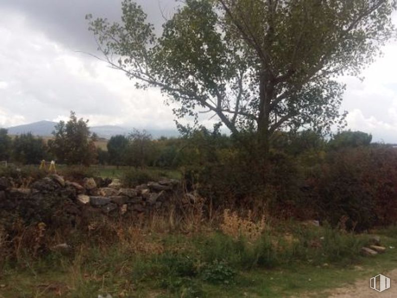 Land for sale at Camino Arroyo Cerezo - Sann Cristobal, San Cristóbal de Segovia, Segovia, 40197 with plant, cloud, sky, plant community, natural landscape, tree, land lot, grass, twig and landscape around