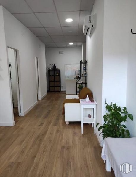 Local en venta en Calle Divino Pastor, 32, Centro, Madrid, 28004 con planta de interior, mueble, edificio, planta, madera, interiorismo, suelos, suelo, hall y maceta alrededor