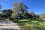 Land for sale at Zona Estación, Los Molinos, Madrid, 28460 with sky, plant, natural landscape, branch, tree, land lot, grass, sunlight, shade and road surface around