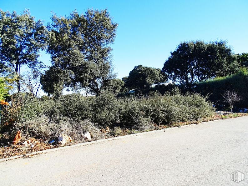 Land for sale at Urbanización las Suertes, Pioz, Guadalajara, 19162 with hat, plant, sky, plant community, ecoregion, azure, natural environment, natural landscape, road surface and land lot around