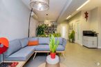 Office for rent at Paseo Delicias, 30, Arganzuela, Madrid, 28045 with couch, lighting, furniture, property, plant, table, cabinetry, houseplant, comfort and interior design around