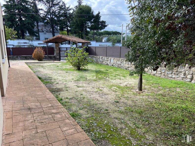 Retail for sale at Carretera Navacerrada, El Boalo, Madrid, 28413 with plant, property, sky, cloud, building, land lot, tree, grass, road surface and groundcover around