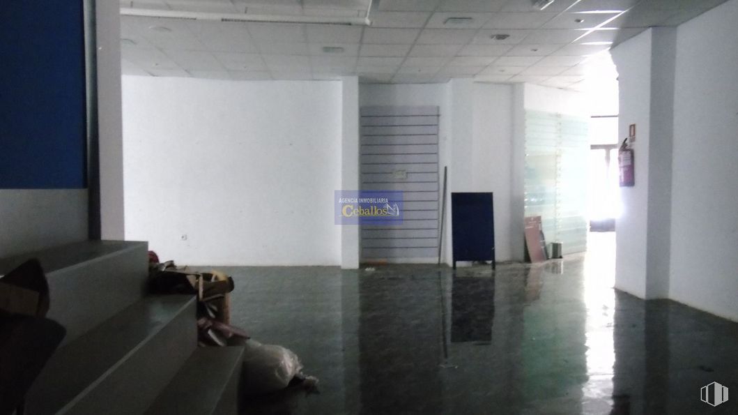 Retail for rent at Plaza Bejanque, Guadalajara, 19005 with animal, furniture, building, floor, flooring, art, material property, fixture, event and space around