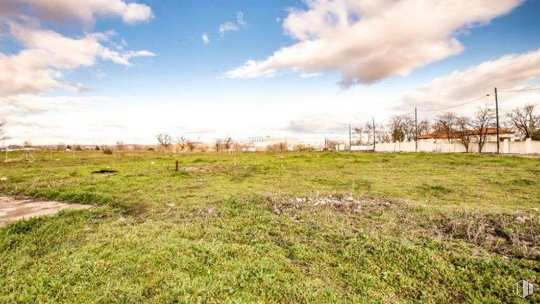 Land for sale at Avenida Aragón - Parcela T.3.5.402, 14, San Blas - Canillejas, Madrid, 28022 with cloud, sky, plant, natural landscape, wood, grass, cumulus, woody plant, grassland and plain around