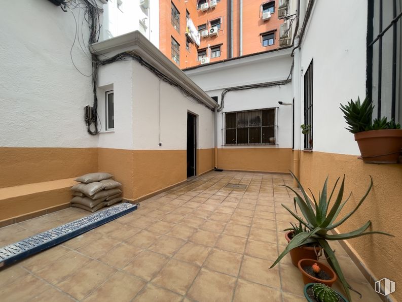 Local en venta en Avenida Ciudad de Barcelona, 178, Retiro, Madrid, 28007 con ventana, puerta, maceta, planta de interior, planta, edificio, madera, superficie de la carretera, diseño urbano y suelo alrededor