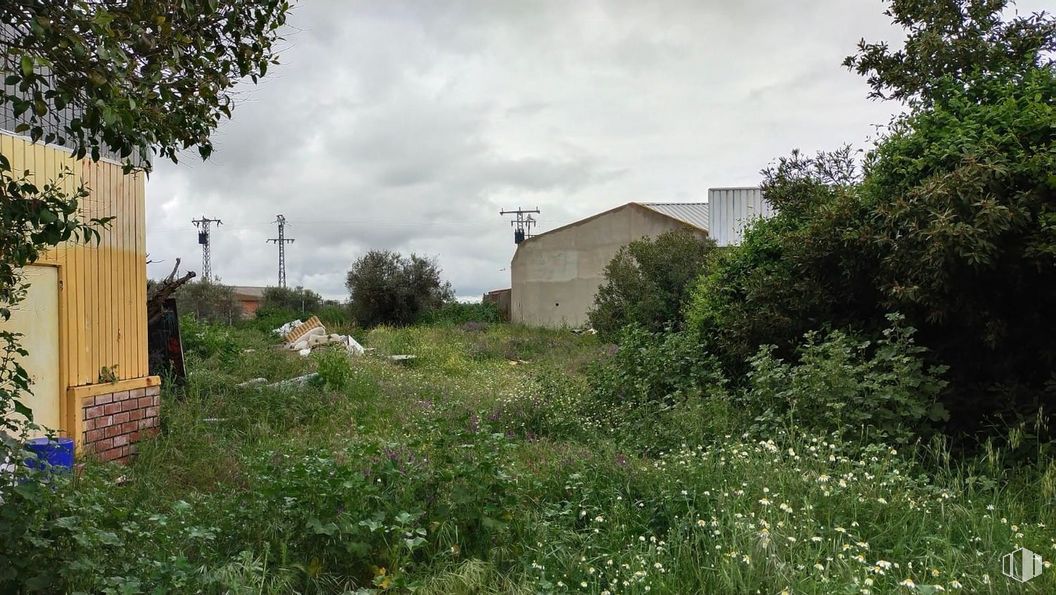 Industrial for sale at Carretera Valmojado, Cedillo del Condado, Toledo, 45214 with house, cloud, plant, sky, building, tree, natural landscape, window, land lot and grass around